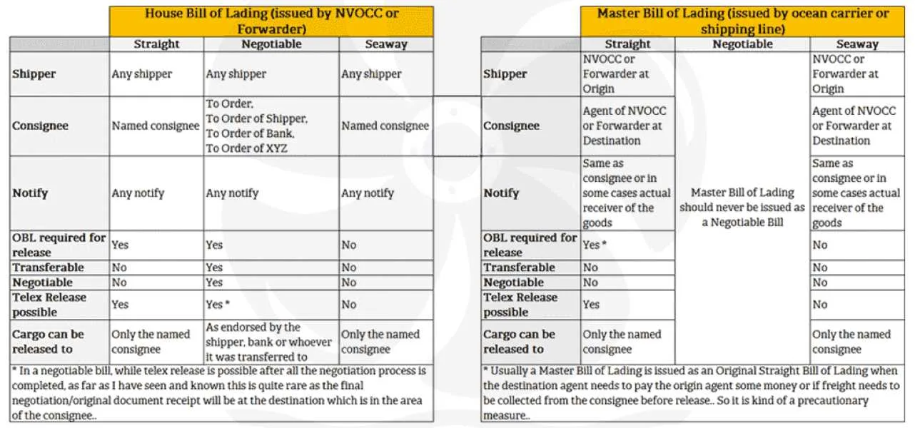 Differences between HBL and MBL